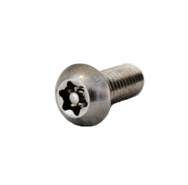 Torx Tamper Resistant Machine Screws