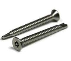 Torx Tamper Resistant Self-Tapping Screws